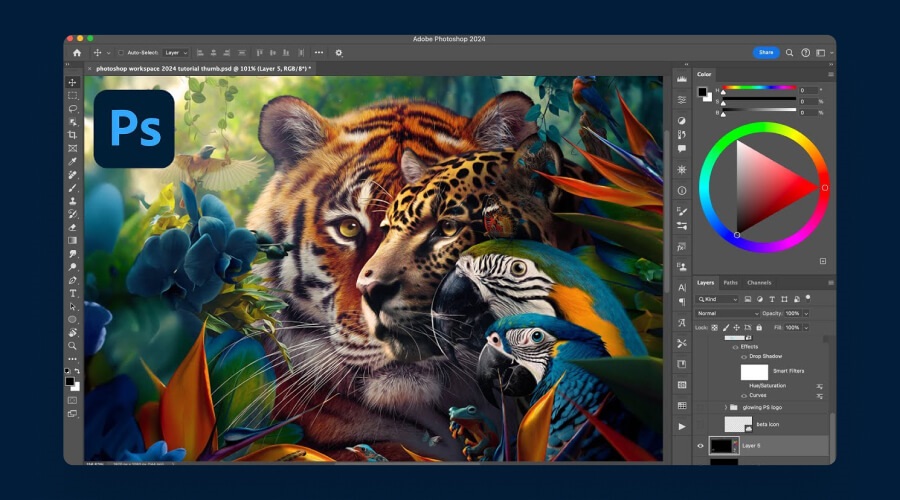 Photoshop Basics